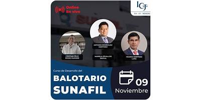 ICJ GESTION PUBLICA Y EMPRESARIAL