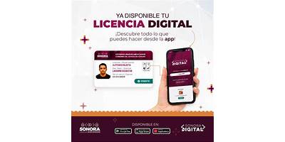TECNOLOGICO DE ESTUDIOS ADMINISTRATIVOS - ISEA