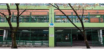 JII Nº7 DE02