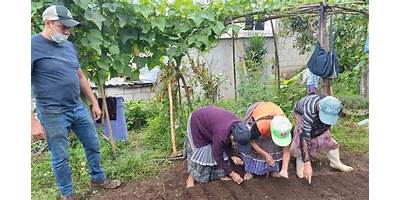 COLEGIO CRISTIANO LEGACY