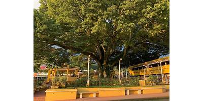 COLEGIO NUEVO AMANECER