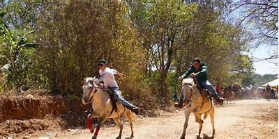 COLEGIO PARTICULAR MIXTO DE DIVERSIFICADO "EMANUEL"