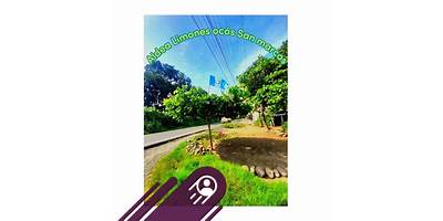 COLEGIO PARTICULAR MIXTO LIMONES