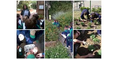 COLEGIO INTEGRAL CABALLITO