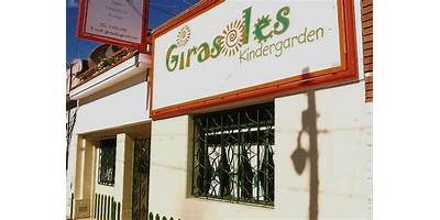 GIRASOLES ESCUELA ACTIVA