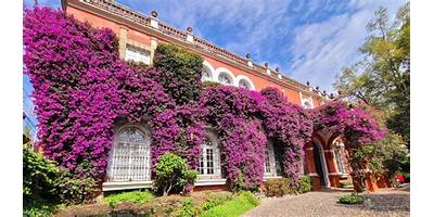 INST. PRIVADO INTEGRAL AARON ANGEL