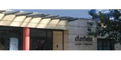 INSTITUTO DE LA NIÑEZ ALETHEIA