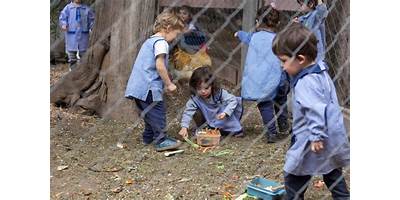 JARDÍN DE INFANTES Y MATERNAL SONRISAS DE LA TIERRA