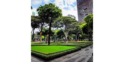 JARDIN PILUSO