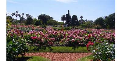 MI JARDIN