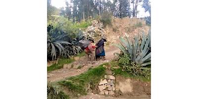LOS TALENTITOS