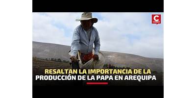 LUISA DE LA TORRE ROJAS