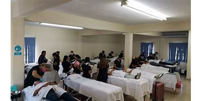 AMEVIE INSTITUTO EDUCATIVO PROFESIONAL