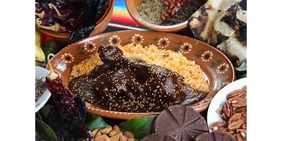 CENTRO DE ESTUDIOS DE GASTRONOMIA DEL BAJIO IRAPUA