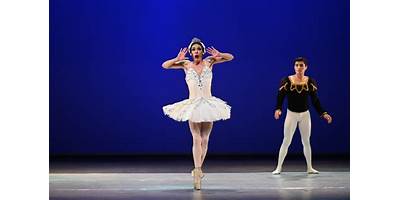 ESCUELA DE DANZA CONTEMPORANEA