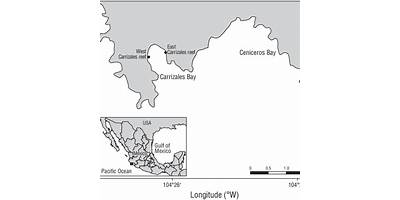 EUSEBIA V. CARRIZALES