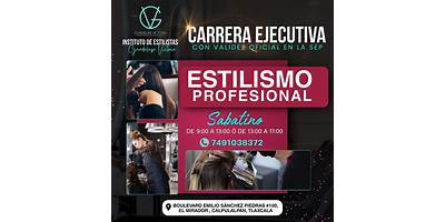 INSTITUTO DE ESTILISTAS PROFESIONALES GUADALUPE VICTORIA