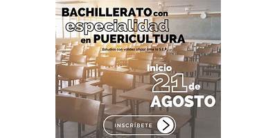 PROYECCION EDUCATIVA
