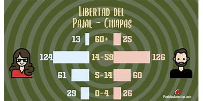238 LIBERTAD DEL PAJAL
