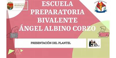 243 ANGEL ALBINO CORZO