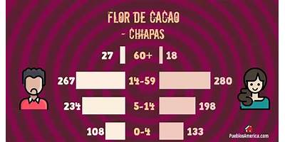 247 FLOR DE CACAO