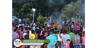 66 EL LIMAR