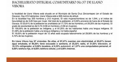 BACHILLERATO INTEGRAL COMUNITARIO DE LLANO VÍBORA