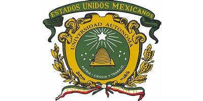 BACHILLERATO ISES TOLUCA