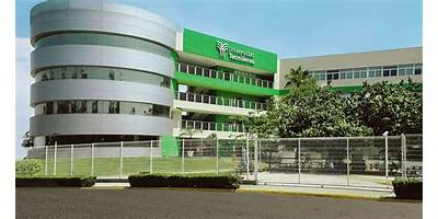 BACHILLERATO TECMILENIO LOS MOCHIS