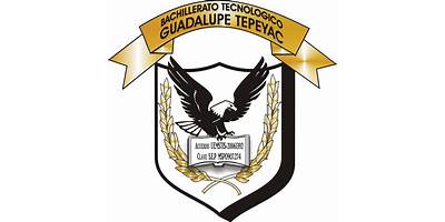 BACHILLERATO TECNOLOGICO GUADALUPE TEPEYAC