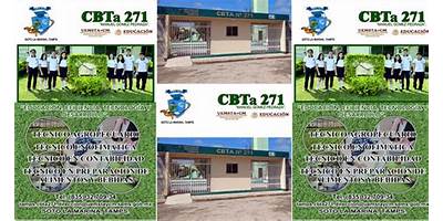 CENTRO DE BACHILLERATO TECNOLOGICO AGROPECUARIO NUM. 271