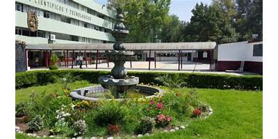 CENTRO DE ESTUDIOS CIENTIFICOS Y TECNOLOGICOS 10, CARLOS VALLEJO MARQUEZ