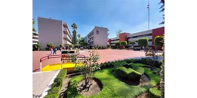 CENTRO DE ESTUDIOS CIENTIFICOS Y TECNOLOGICOS 13, RICARDO FLORES MAGON