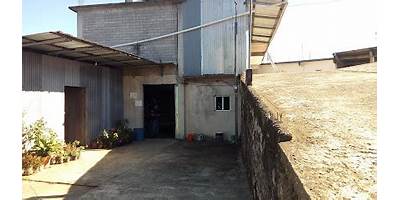 CENTRO NUM. 226 SAN MIGUEL NUEVO