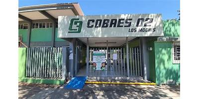 COBAES 121 LOS PICACHOS CENTRO DE BACHILLERATO A DISTANCIA