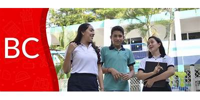 COLEGIO CEDROS