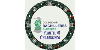COLEGIO DE BACHILLERES BACHILLERATO SEMIESCOLARIZADO PLANTEL CHILPANCINGO