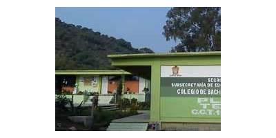 COLEGIO DE BACHILLERES DEL ESTADO DE MÉXICO PLANTEL 43 TEXCOCO