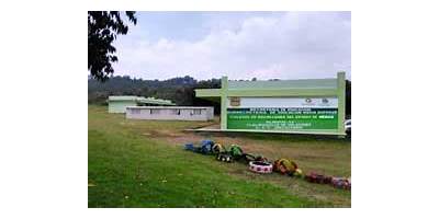 COLEGIO DE BACHILLERES DEL ESTADO DE MÉXICO PLANTEL 44 TLALMANALCO