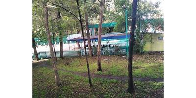 COLEGIO DE BACHILLERES PLANTEL 3