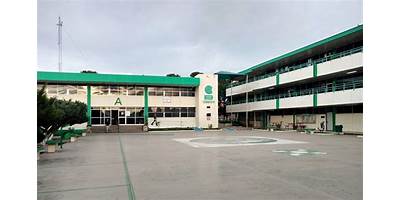 COLEGIO DE BACHILLERES PLANTEL  30