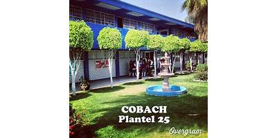 COLEGIO DE BACHILLERES PLANTEL NÚM. 25