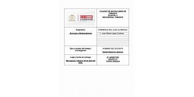 COLEGIO DE BACHILLERES PLANTEL NÚM. 4