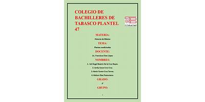 COLEGIO  DE BACHILLERES PLANTEL NÚM. 47
