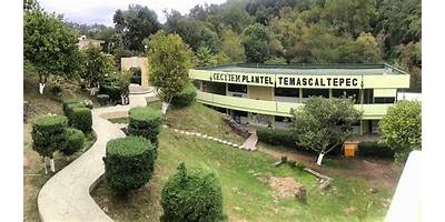 COLEGIO DE ESTUDIOS CIENTÍFICOS Y TECNOLÓGICOS DEL ESTADO DE GUERRERO PLANTEL NUM 07 SAN AGUSTIN
