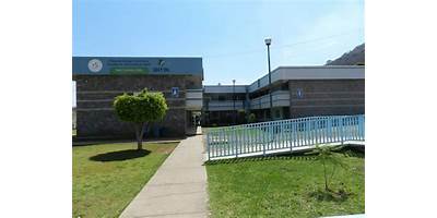 COLEGIO DE ESTUDIOS CIENTIFICOS Y TECNOLOGICOS DEL ESTADO DE JALISCO PLANTEL ATOTONILCO