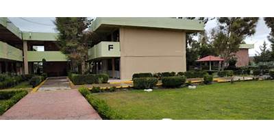 COLEGIO DE ESTUDIOS CIENTÍFICOS Y TECNOLÓGICOS DEL ESTADO DE MÉXICO PLANTEL TECÁMAC