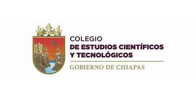 COLEGIO DE ESTUDIOS CIENTIFICOS Y TECNOLOGICOS DEL ESTADO X ESCALERILLAS