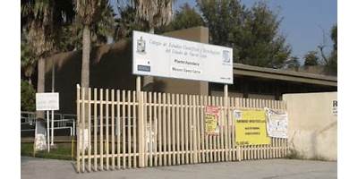 COLEGIO DE ESTUDIOS CIENTIFICOS Y TECNOLOGICOS UNIDAD SALINAS VICTORIA