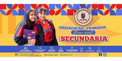 COLEGIO NUEVO MILENIO BACHILLERATO